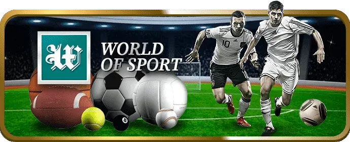 Tổng quan về đá gà cwin99 casino